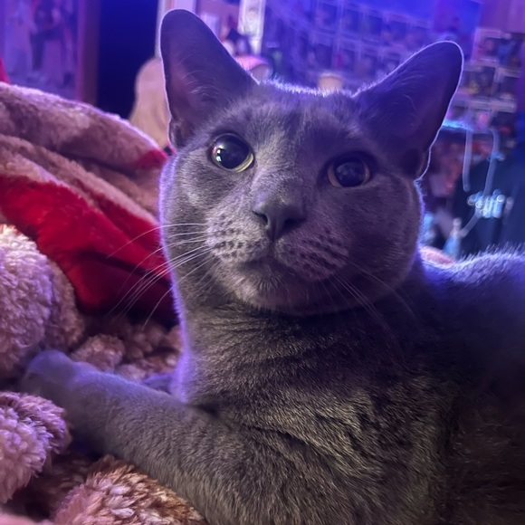 LIVE UPDATES 💕 - Picture 5 of 7